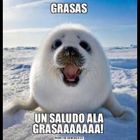 GRASASUN SALUDO ALA GRASAAAAAAA! 
